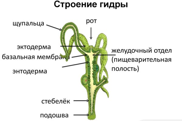 Гидра зайти кракен