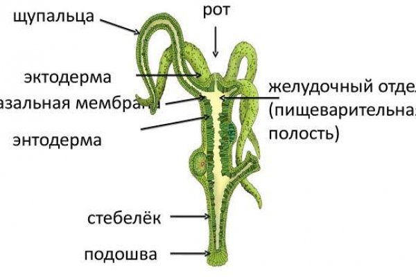 Купить наркотики томск