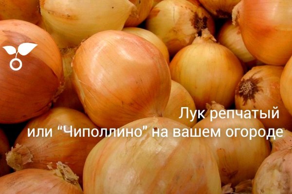 Каталог сайтов даркнет