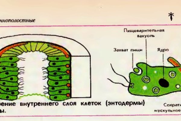 Рабочая ссылка на кракен