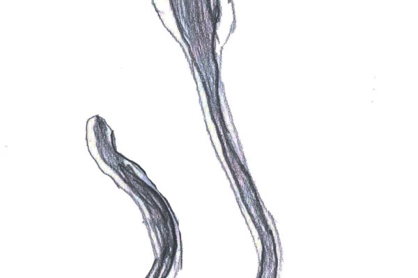 Kra37.cc