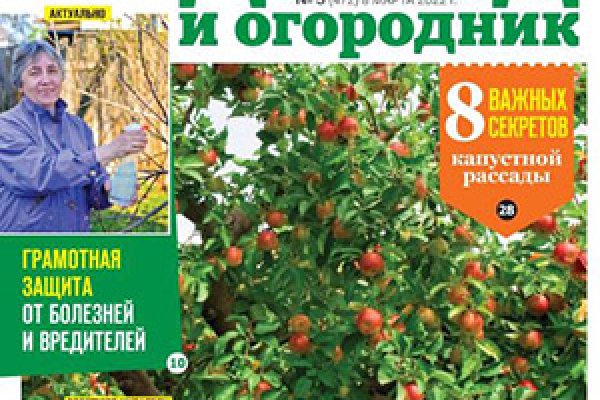 Кракен тор krakendark krakendark link
