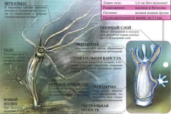 Кракен ссылка призыва нет