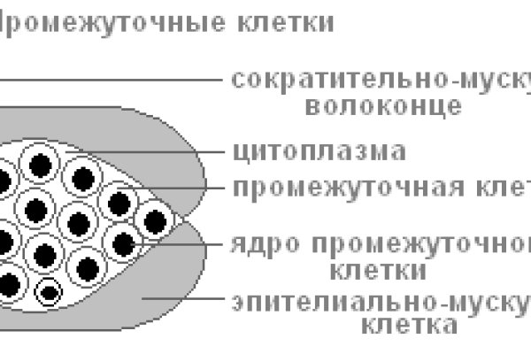 Кракен продажа