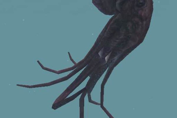 Kraken 19at