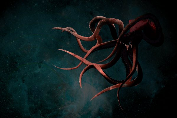 Kraken что это за магазин