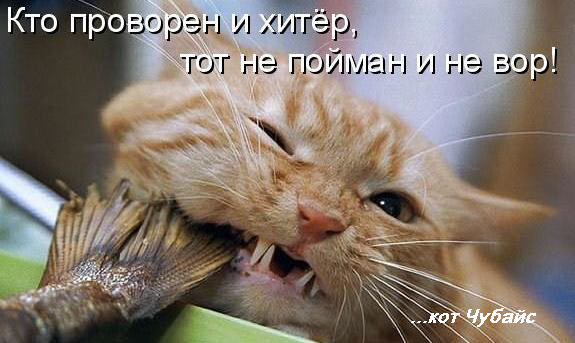 Kraken что это за магазин