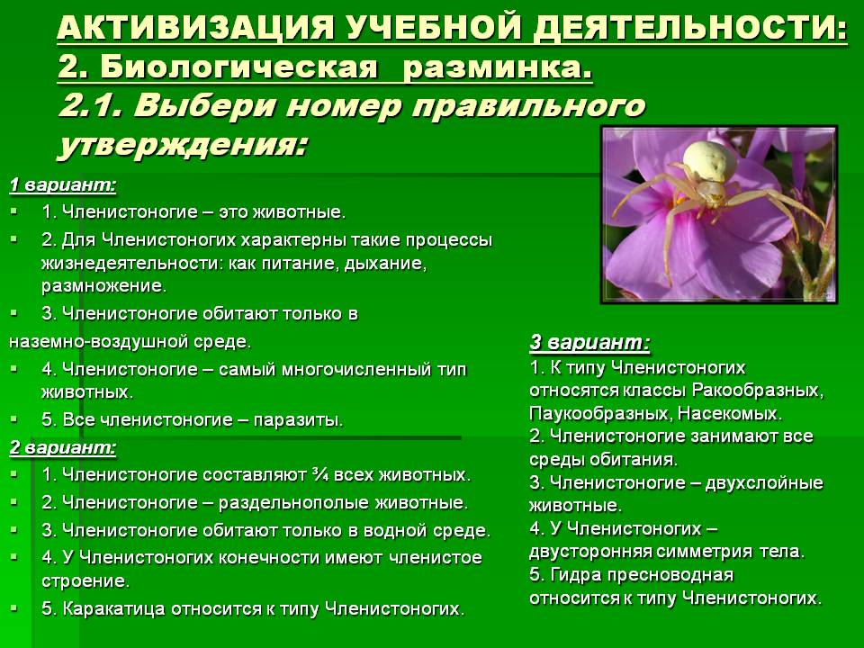 Кракен сайт маркетплейс ссылка